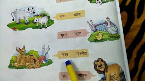 The cub of each animal is named in different ways. Animals And Their Young Ones In Hindi In Online Classes For Kids By Excellent Channel By Ritashu Youtube