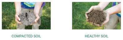 Wondering how to aerate lawn? How Often Should You Aerate Your Lawn Lawn Aeration 101 Prudent Reviews