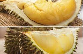 Jadi, yang tidak boleh (makan durian) adalah orang. Pantangan Setelah Makan Durian Ydhartono Com