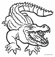 Coloring these magnificent creatures is a lot of fun. Alligator Coloring Pages Cool2bkids