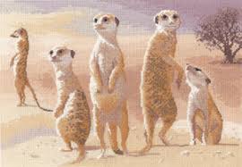 Check spelling or type a new query. Counted Cross Stitch Meerkat Kits By Heritage Crafts