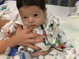 Fundraiser for Crystal Howser by Ashley Faulkner : Courage for Colin