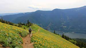 Dog mountain dog mountain rises above the north side of the columbia river gorge in the u.s. Permits To Hike Dog Mountain Trial At Columbia Gorge On Sale In March