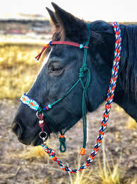 It is a great way to get a thin, great looking and there we go. Soft Rope Halter Bitless Bridle Hackamore Diamond Paracord Etsy
