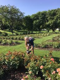 Lake harriet rose garden yakınındaki oteller. Rep Heather Edelson On Twitter Our Amazing Edelsquad Organized Service Day Was A Success At The Lake Harriet Rose Garden Well Done Anna And Claire For Pulling Us All Together Putgoodintotheworld Https T Co B3yxudj5e0