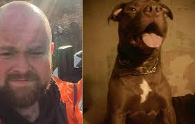 Pes zabil páníčka při epileptickém záchvatu, chtěl ho chránit