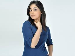 Image result for yami gautam in action jackson blue saree