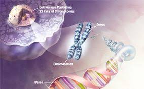 Cardiology Learning App Cardiology Courses Cardiology Medical Online Education