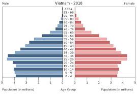 Vietnam Age Structure Demographics