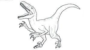 Coloriage Dinosaure Dessin Velociraptor A Imprimer En 2021 Coloriage Dinosaure Dessin Dinosaure Coloriage