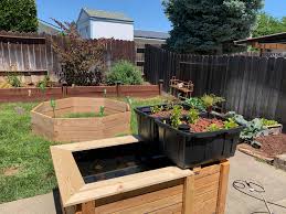 The raised garden bed is a boxy unit that allows you to plant flowers, herbs, and vegetables just about anywhere outdoors. Here S A Pic Of Our New Octagon Raised Bed We Got A Little Fancy With Overlapping And Rebar Instead Of Posts My Son Built The Small Aquaponics System And Planted The First