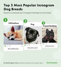 • farmers has created pet insurance marketing materials for you. The Price Of Pandemic Pets Gocompare