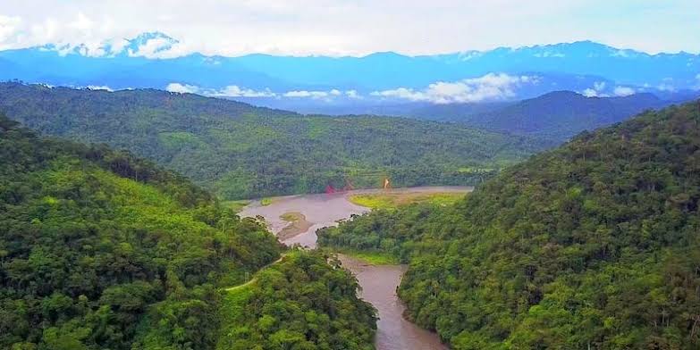 SELVA