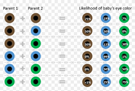 free png download colored eyes chart png images background