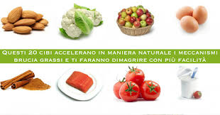Tra i pesci viene categorizzato tra i grassi, ma il suo altissimo contenuto dei omega tre lo rende un cibo da non far mancare in nessuna dieta. I 20 Alimenti Che Ti Faranno Dimagrire Con Piu Facilita