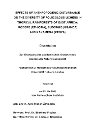 Image result for Allophylus lastoursvillensis