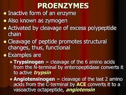 Is that proenzymes is while coenzymes is. Ppt More On Enzymes Powerpoint Presentation Free Download Id 5678616