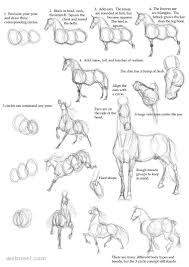 25 Beautiful Animal Drawings For Your Inspiration How To Draw Animals Horse Drawings Animal Drawings Horse Drawing