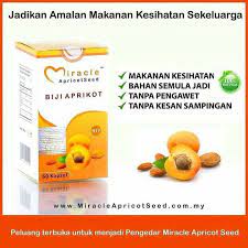 Sebab miracaps 100% berasaskan ekstrak biji aprikot & tanpa campuran lain. Vitamin Miracle Apicot Seed Mizewinn Garden Posts Facebook