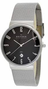 Skagen 355xlssb Erkek Saat