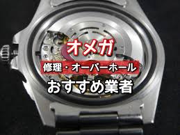 Https Xn T8j4aa4n725opdxavl6cbreft6a Com Omega Repair