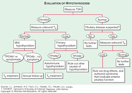 Hypothyroidism Harrisons Principles Of Internal Medicine