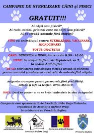 Campanie De Sterilizare Caini și Pisici Gratuit 4 Iunie 2017 Primăria Orașului Buftea
