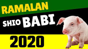 Ramalan Shio Babi Tahun 2021 Bagaimana Peruntungan Shio Babi Tahun 2021 Halaman All Tribun Pontianak