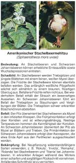 Für eine gesunde basische ernährung ist dieser überblick wichtig. Integrierter Pflanzenschutz Johannisbeeren Und Stachelbeeren Krankheiten Und Schadlinge Pdf Kostenfreier Download