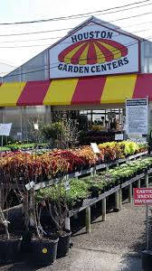 At houston plants and garden center, we pride ourselves on providing you with the best customer service. Houston Garden Center 5502 Fm 1960 Humble Tx 77346 Usa