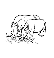 Check spelling or type a new query. Free Printable Rhinoceros Coloring Pages For Kids