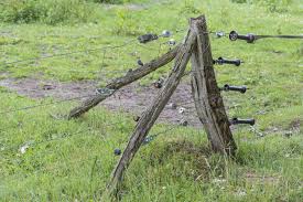Premier yellow electric goat net is highly visible to animals and people. Best Goat Fencing Options And How To Effectively Confine Your Goats