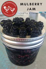 While the jars are sterilizing, put the mulberries, sugar, and lemon juice into a large, nonreactive pot. We Enjoy Foraging For Sweet Treats This Mulberry Jam Recipe Is A Favorite Yummy Mulberry Jam Jam Recipes Homemade Mulberry Recipes