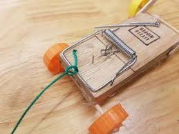 Mousetrap Car Mousetrap Car Mouse Traps Homemade Mouse Traps