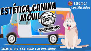 Guaperrimo Estetica Canina Movil Inicio Facebook