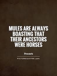 Boasting Quotes | Boasting Sayings | Boasting Picture Quotes via Relatably.com