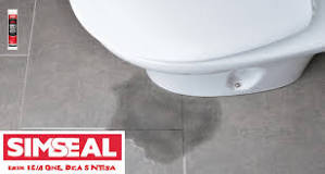 Easy Guide to Sealing a Leaky Toilet with Silicone Sealan