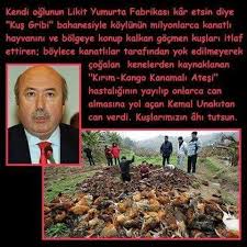 Geberdi Ulke Kaynaklaridan Iyi Yuruttu Simdi Cocuklari Sefa Surer Darisi Digerlerine Kus Gribi Simsek Yuzler