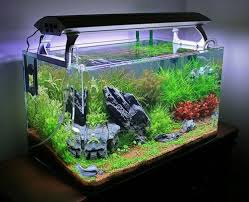 Fish bowls just might be the most popular aquariums out there. 30 Fish Tank Ideas For A Relaxing Home