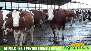 Prin urmare, daca doriti containere de vanzare covasna, procontainer este alegerea potrivita in acest sens. Afimilk Nr 1 Pentru Fermele De Vaci Youtube