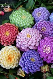 Find the colors you want them to be. A Fanciful Twist Let S Make Zinnia Flowers From Pine Cones