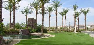 Installing new tucson sod is one of the quickest and easiest ways to spruce up your backyard, and if you want a lawn that will look good for several years to come, it's important that you install your. Arizona Sod Grass Farm Since 1985 Phoenix Tucson Az