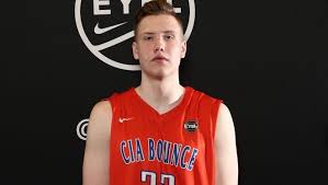 Image result for Dissotis brazzae