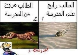 وي عندك الصح Funny Comments Bff Quotes Jokes