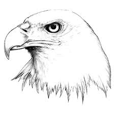 Nice Realistic Drawing Of The Eagle S Head Style Realistic Color Black Tags First Easy Eagle Drawing Eagle Head Tattoo Realistic Drawings