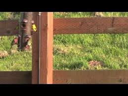 Musical Chairs At The Finch Feeder Exploring Clark County Mov Finch Feeders Finch Real Estate Jobs