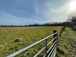 How to Sell Land Fast! Have you considered selling land at auction?