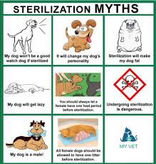 Check spelling or type a new query. Facebook