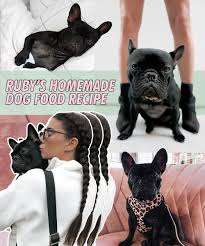 Raw dog food recipes can provide helpful ideas for adding balanced nutrition and variety to a raw diet. Only The Best For Our Boujee Bitch Ruby S Homemade Dog Food Recipe
