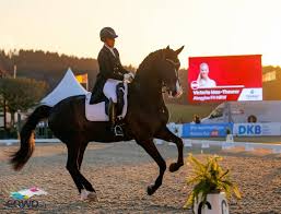 Carl hester met de kwpn'er en vogue (jazz x contango), gefokt door a van der goor. Hagen Zwei Siege Fur Charlotte Dujardin Max Theurer Siebte